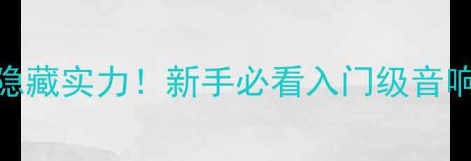 图片 16欧姆小喇叭的隐藏实力！新手必看入门级音响系统搭建全攻略