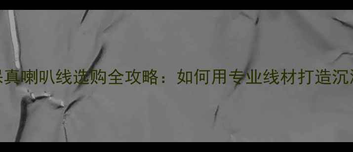 图片 1万元以内高保真喇叭线选购全攻略：如何用专业线材打造沉浸式音响体验2