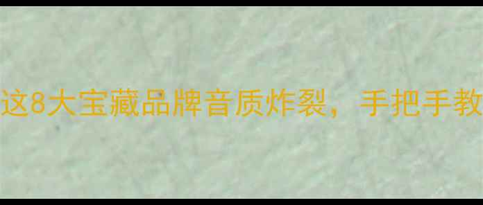 图片 3寸喇叭闭眼入！这8大宝藏品牌音质炸裂，手把手教你选对入门神器2