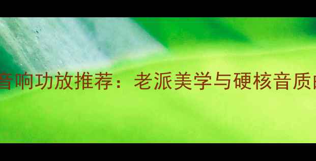图片 80年代经典音响功放推荐：老派美学与硬核音质的完美平衡2
