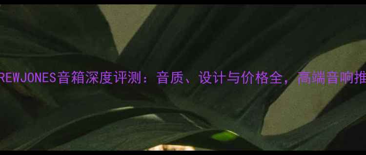 图片 ANDREWJONES音箱深度评测：音质、设计与价格全，高端音响推荐2