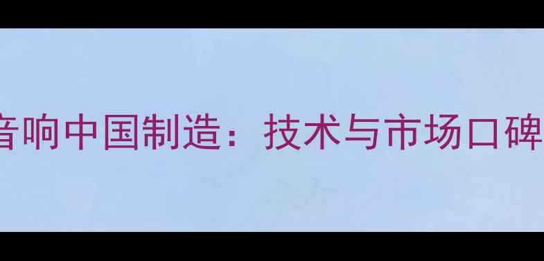 图片 DR音响中国制造：技术与市场口碑全1