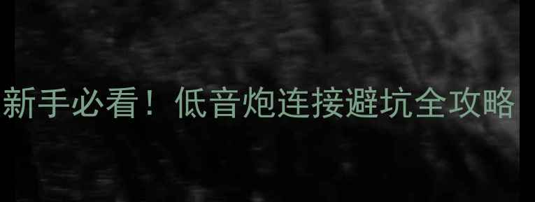 图片 DSP能接低音炮吗？新手必看！低音炮连接避坑全攻略（附实测效果对比）