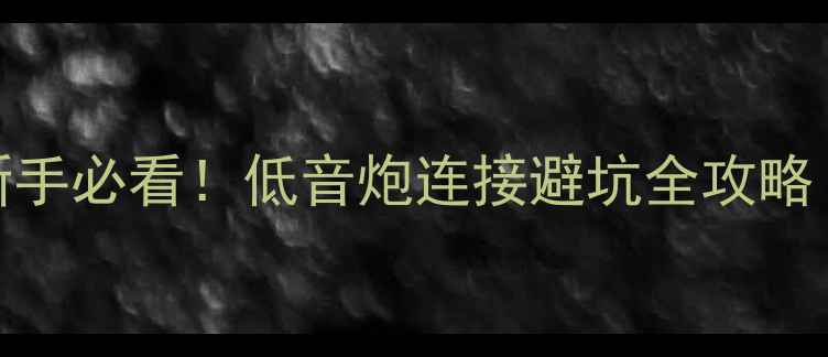 图片 DSP能接低音炮吗？新手必看！低音炮连接避坑全攻略（附实测效果对比）1