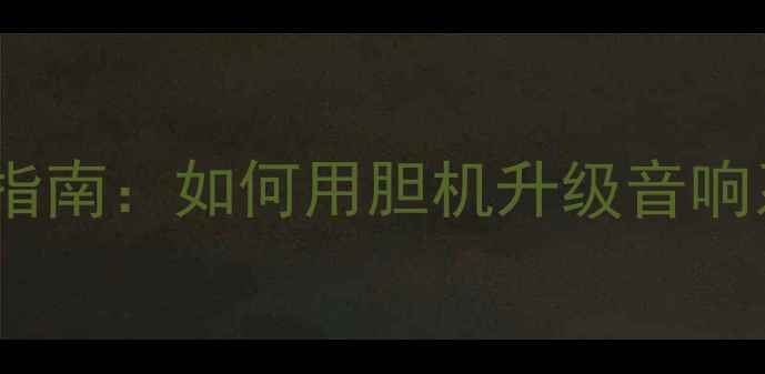 图片 JBL胆机功放搭配指南：如何用胆机升级音响系统音质与性价比