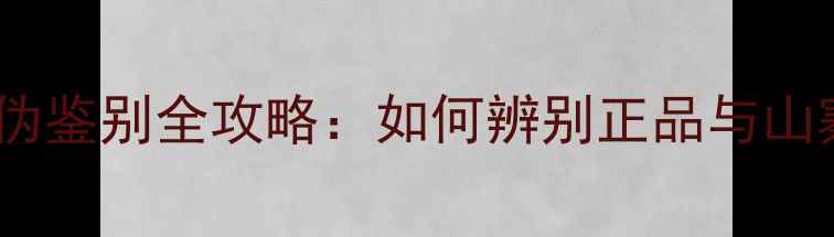 图片 PMcTB2音箱真伪鉴别全攻略：如何辨别正品与山寨？选购指南1