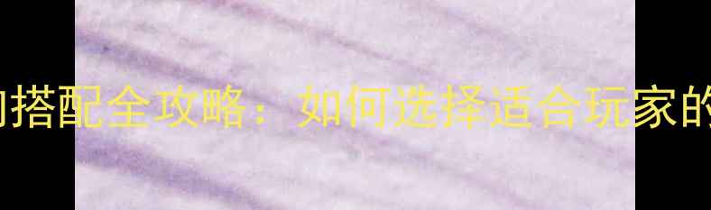 图片 ROG笔记本主机音响搭配全攻略：如何选择适合玩家的沉浸式声效系统？