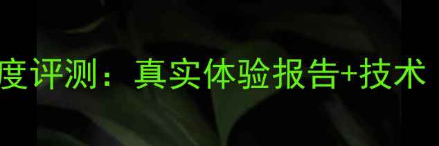 图片 Supreme音响深度评测：真实体验报告+技术（附选购指南）