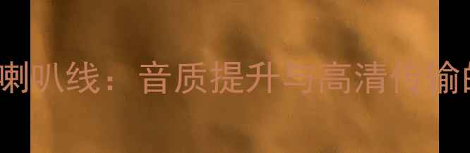 图片 TADLH5专业喇叭线：音质提升与高清传输的完美选择2