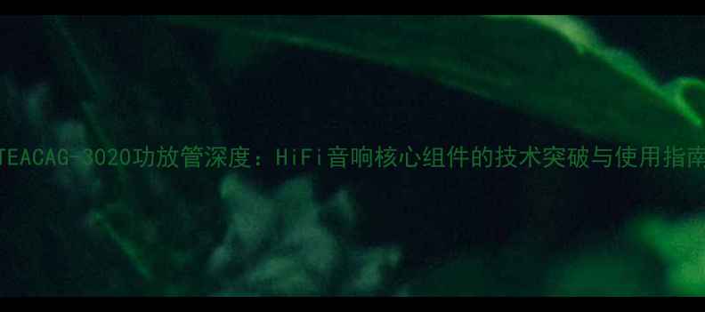 图片 TEACAG-3020功放管深度：HiFi音响核心组件的技术突破与使用指南