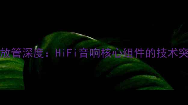 图片 TEACAG-3020功放管深度：HiFi音响核心组件的技术突破与使用指南1