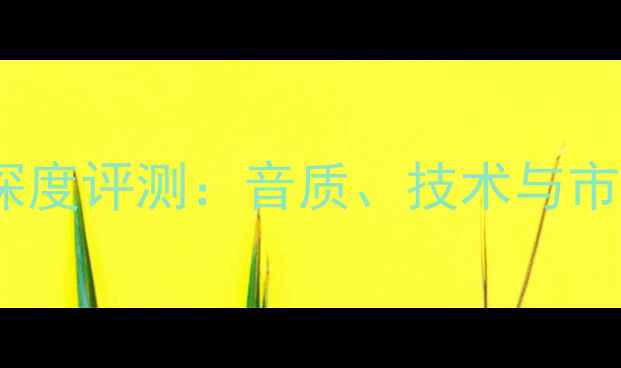 图片 nec音响深度评测：音质、技术与市场定位全