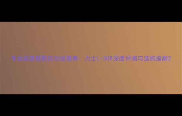 图片 专业级家庭影院功放推荐：力士L-309深度评测与选购指南2