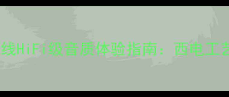 图片 专业级晶体管音响喇叭线HiFi级音质体验指南：西电工艺喇叭线选购与搭配全1