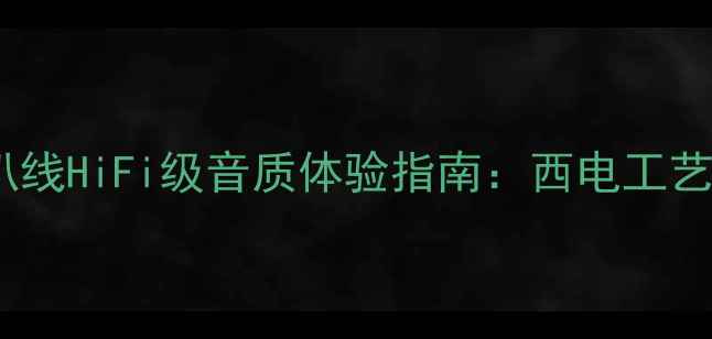 图片 专业级晶体管音响喇叭线HiFi级音质体验指南：西电工艺喇叭线选购与搭配全2