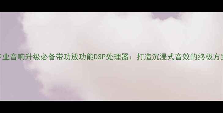 图片 专业音响升级必备带功放功能DSP处理器：打造沉浸式音效的终极方案