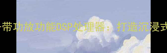 图片 专业音响升级必备带功放功能DSP处理器：打造沉浸式音效的终极方案1