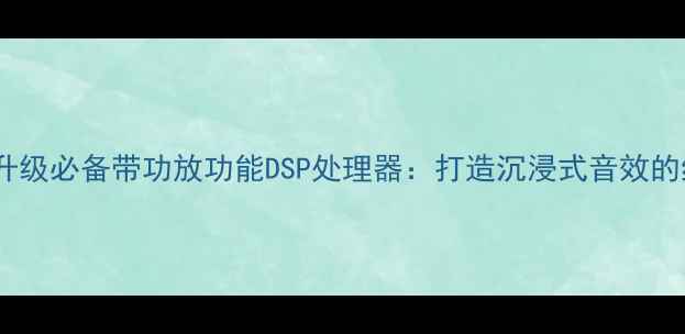 图片 专业音响升级必备带功放功能DSP处理器：打造沉浸式音效的终极方案2