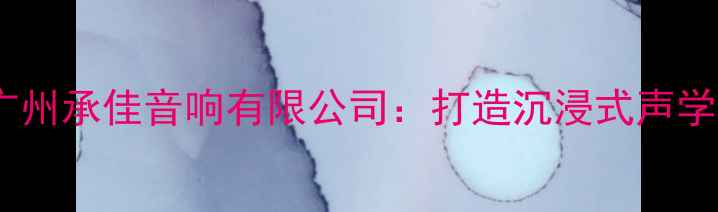 图片 专业音响设备推荐广州承佳音响有限公司：打造沉浸式声学体验的权威服务商2