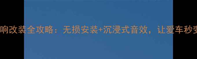 图片 中山声皇汽车音响改装全攻略：无损安装+沉浸式音效，让爱车秒变移动音乐厅！1