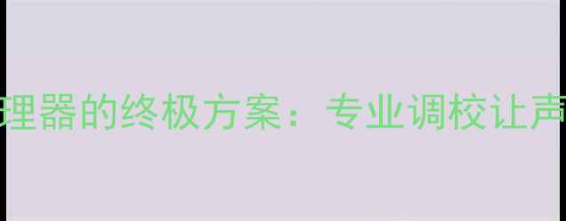 图片 丹拿喇叭搭配DSP处理器的终极方案：专业调校让声音体验飞跃式提升1