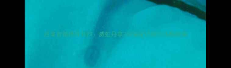 图片 丹拿音箱推荐TOP3：威虹丹拿260深度评测与选购指南