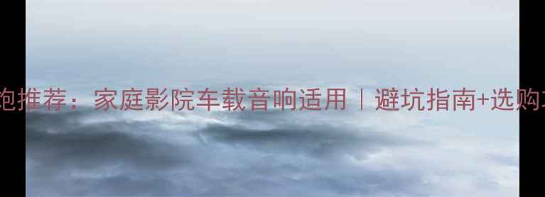图片 低音炮推荐：家庭影院车载音响适用｜避坑指南+选购攻略2