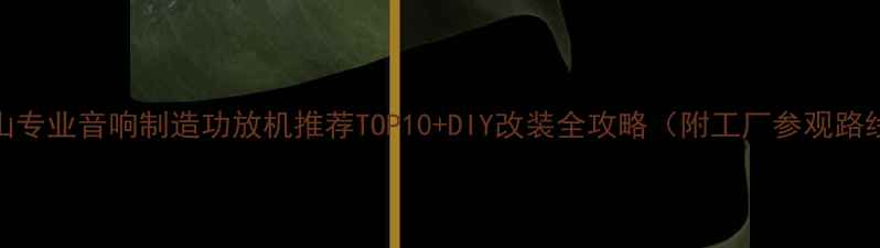 图片 佛山专业音响制造功放机推荐TOP10+DIY改装全攻略（附工厂参观路线）
