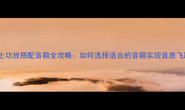 图片 力士功放搭配音箱全攻略：如何选择适合的音箱实现音质飞跃1