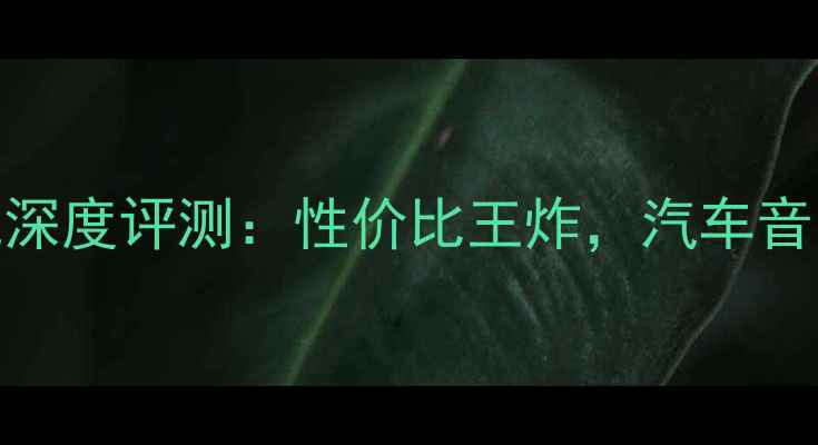 图片 北京212音响主机深度评测：性价比王炸，汽车音响改装必看攻略2