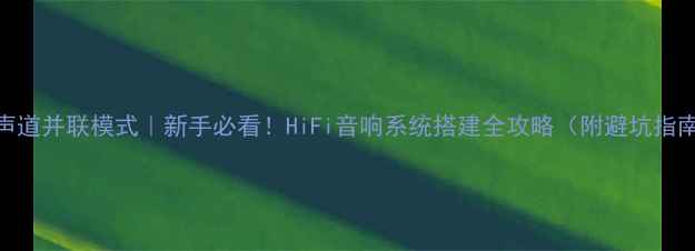 图片 单声道并联模式｜新手必看！HiFi音响系统搭建全攻略（附避坑指南）