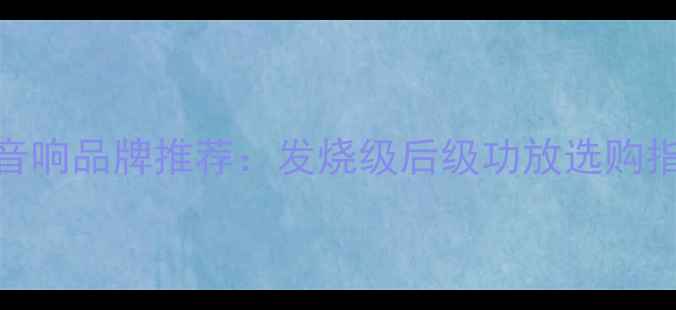 图片 台湾高端音响品牌推荐：发烧级后级功放选购指南与品牌