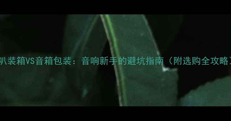 图片 喇叭装箱VS音箱包装：音响新手的避坑指南（附选购全攻略）2