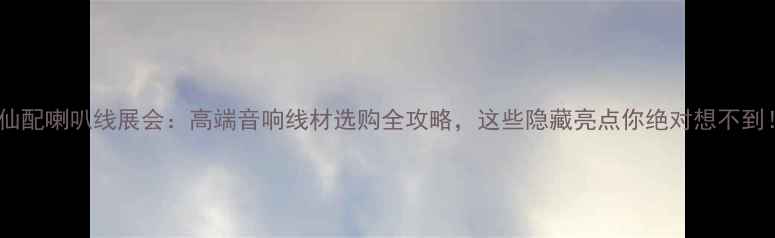 图片 天仙配喇叭线展会：高端音响线材选购全攻略，这些隐藏亮点你绝对想不到！2