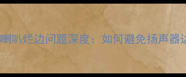 图片 天朗同轴喇叭烂边问题深度：如何避免扬声器边角老化2