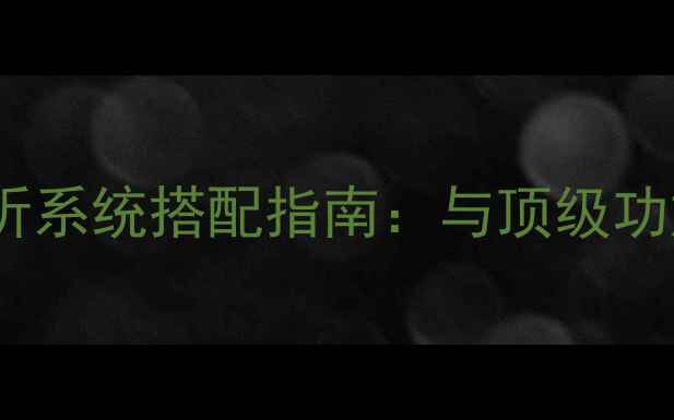 图片 天朗监听10号专业监听系统搭配指南：与顶级功放协同实现极致音效1