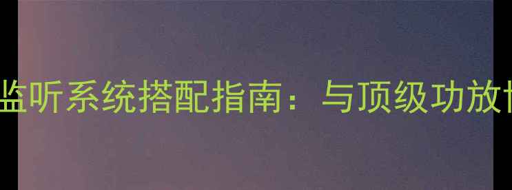 图片 天朗监听10号专业监听系统搭配指南：与顶级功放协同实现极致音效2