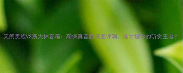 图片 天朗贵族VS斯大林音箱：高保真音质深度评测，谁才是你的听觉王者？