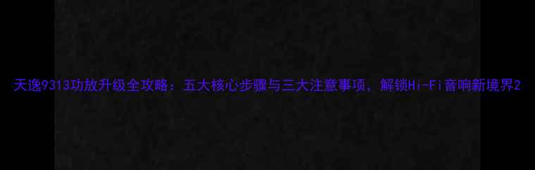 图片 天逸9313功放升级全攻略：五大核心步骤与三大注意事项，解锁Hi-Fi音响新境界2