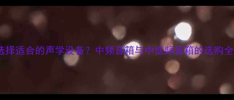 图片 如何选择适合的声学设备？中频音箱与中低频音箱的选购全指南2