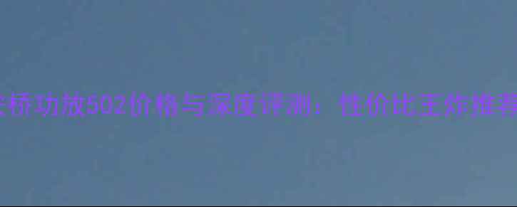 图片 安桥功放502价格与深度评测：性价比王炸推荐1