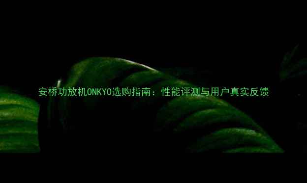 图片 安桥功放机ONKYO选购指南：性能评测与用户真实反馈