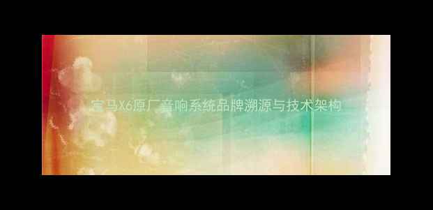 图片 宝马X6原厂音响系统品牌溯源与技术架构