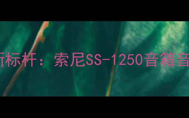图片 家庭影院系统新标杆：索尼SS-1250音箱音质与选购指南1