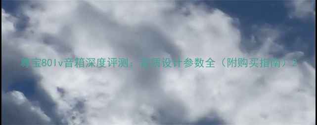 图片 尊宝80Iv音箱深度评测：音质设计参数全（附购买指南）2