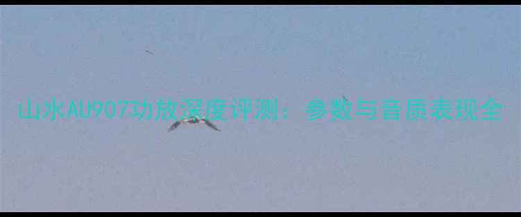 图片 山水AU907功放深度评测：参数与音质表现全