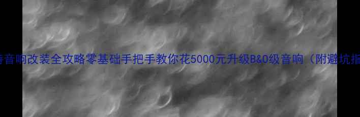 图片 帕萨特音响改装全攻略零基础手把手教你花5000元升级B&O级音响（附避坑指南）2