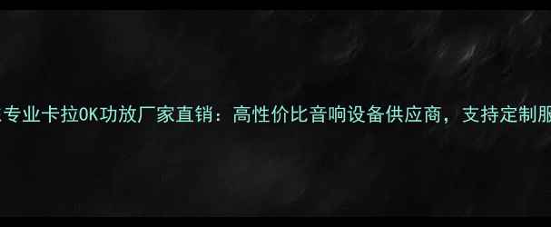 图片 广东专业卡拉OK功放厂家直销：高性价比音响设备供应商，支持定制服务2