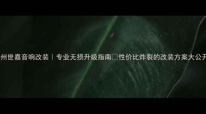 图片 广州世嘉音响改装｜专业无损升级指南🔥性价比炸裂的改装方案大公开2