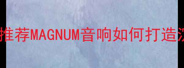 图片 度家庭影院音响系统推荐MAGNUM音响如何打造沉浸式Hi-Fi体验指南